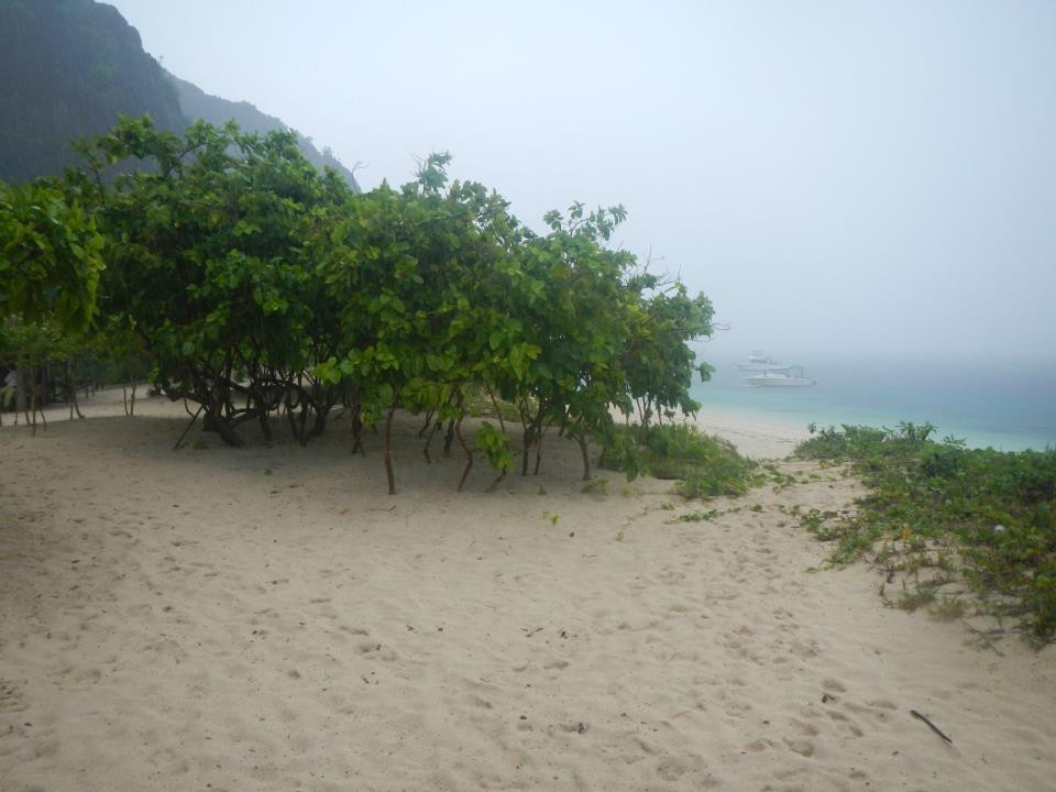 Black Island景点图片