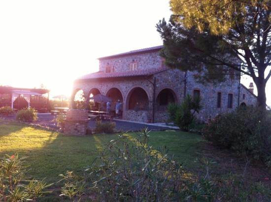 Podere Campo all'Olivo