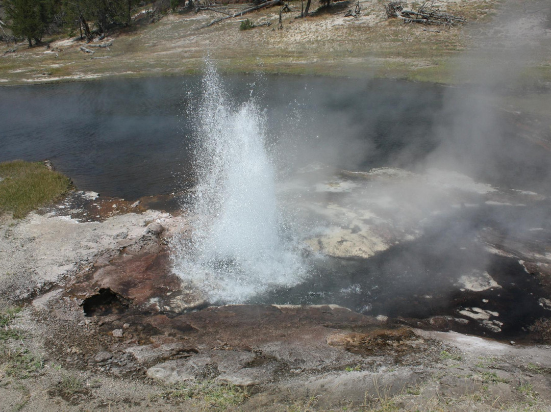 下间歇喷泉盆地-黄石国家公园必去景点