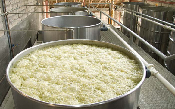 Flor do Vale - Alambique e Parque Ecologico-卡内拉必去景点