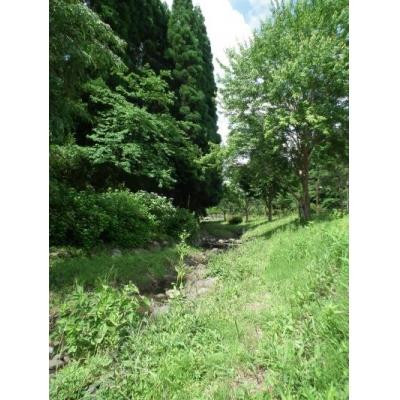 Morino Resort Hotel主图