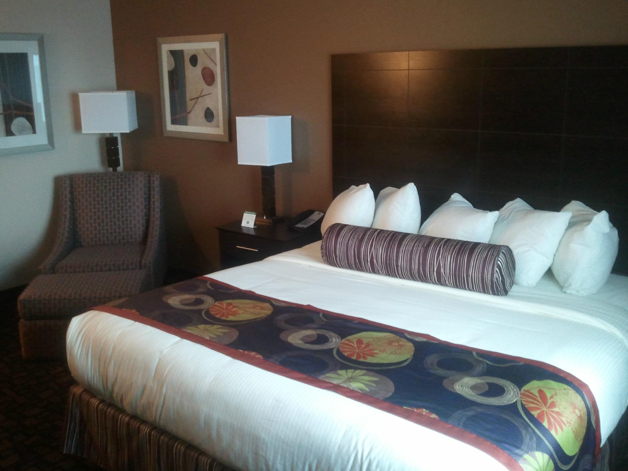 Best Western Plover-Stevens Point Hotel & Conference Ctr-客卧