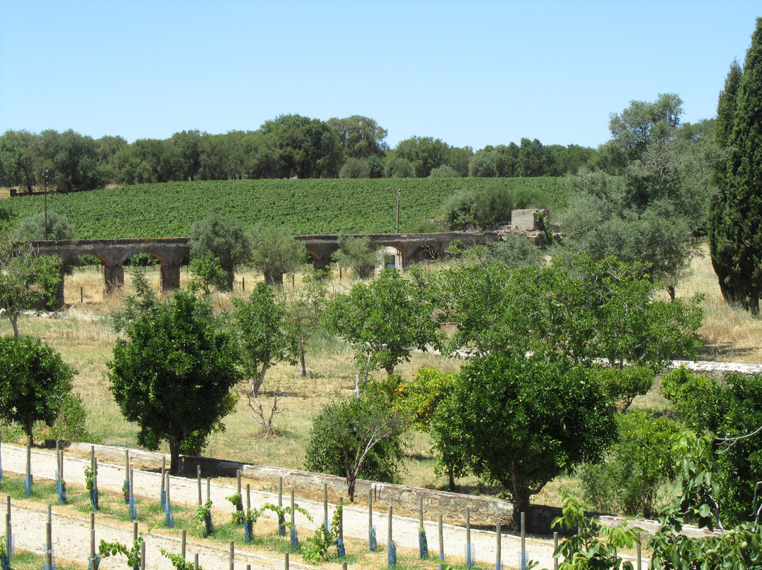 Enoturismo Cartuxa景点图片