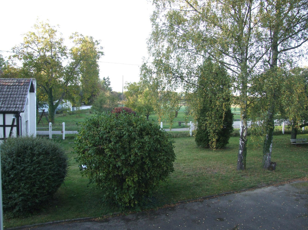 Rheinhotel Luxhof主图