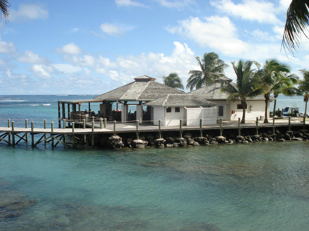 Oceania Travel and Tours Savaii Day Tours-阿皮亚必去景点