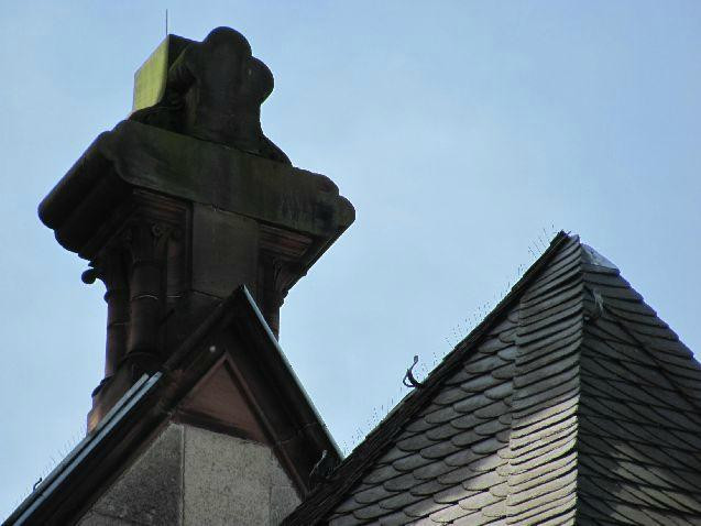 Förderverein Pfaffendorfer Kirche-科布伦茨必去景点