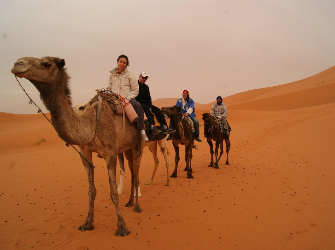 Fes Excursion Day Tours