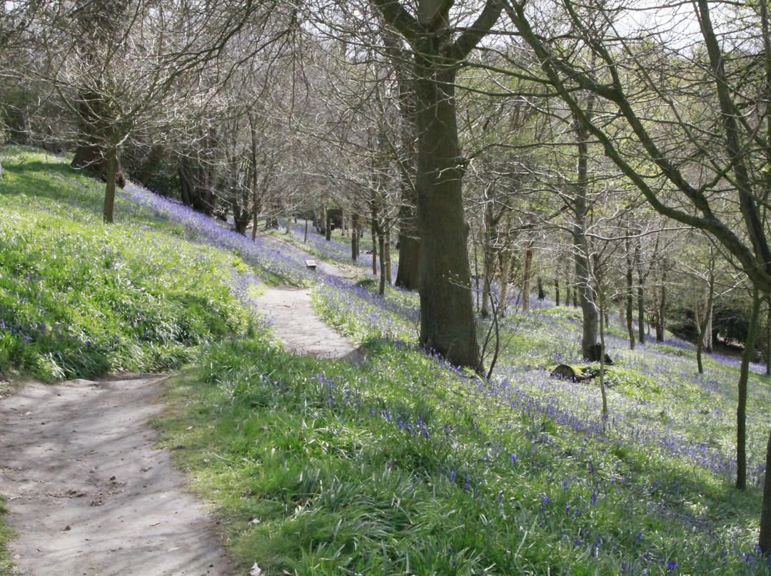 Emmetts Garden-Sevenoaks必去景点