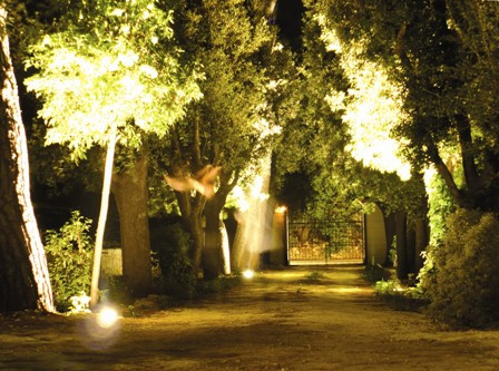 Villa Cenzina B&B主图