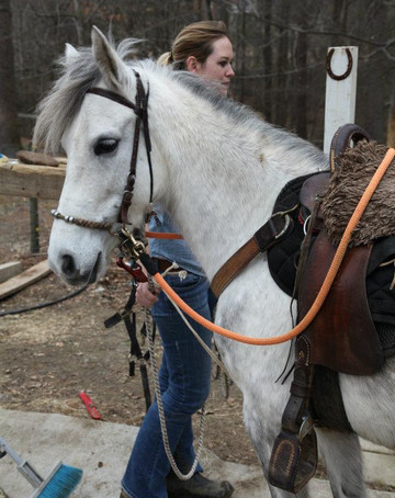 Hacienda la Pecosa: Paso Fino Show Horses-Bethlehem必去景点