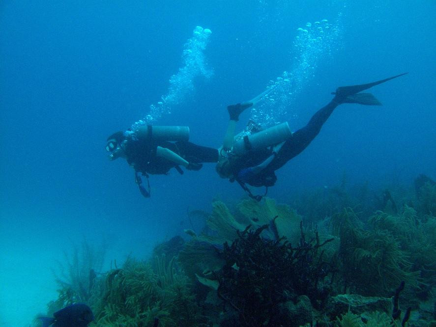 Diving Dominican Republic-Bayahibe必去景点