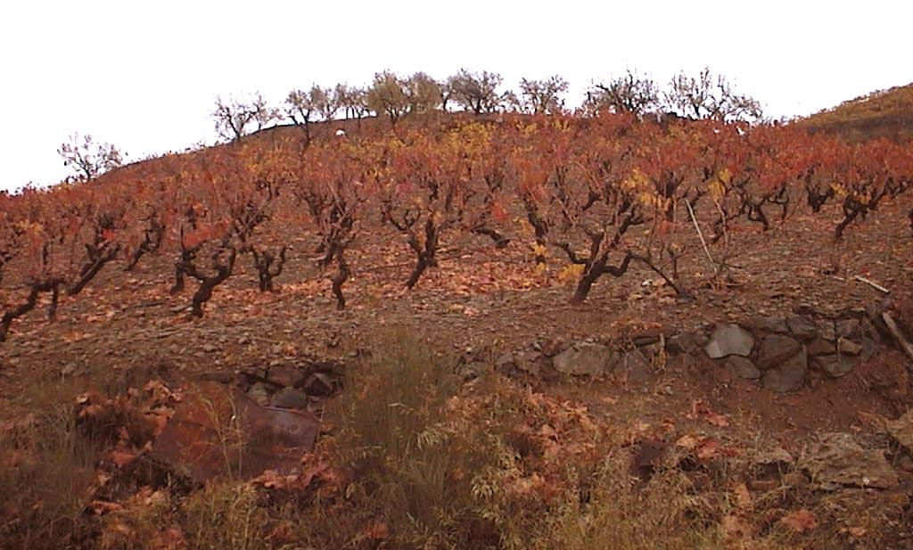 Oficina de Turisme del Priorat景点图片