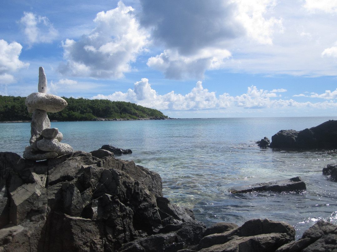 Playa Pata Prieta-Puerto Ferro必去景点