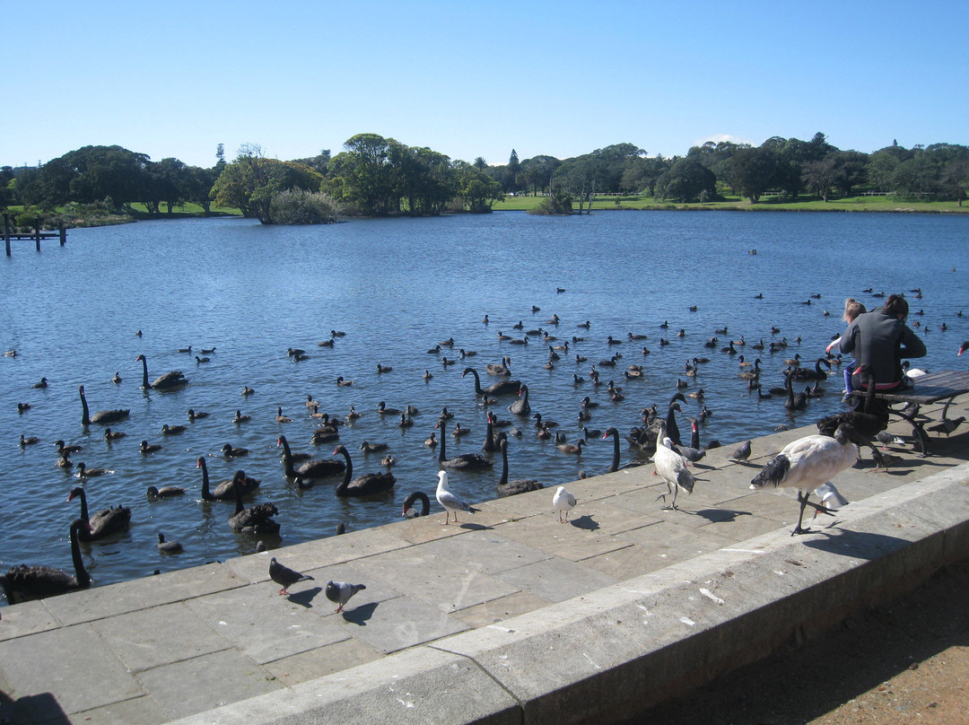 悉尼世纪公园-悉尼必去景点