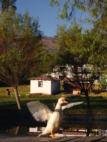 Hotel Campestre Hacienda Yanamarca-客卧