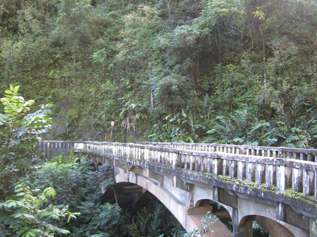 Valley Isle Excursions-怀露库必去景点