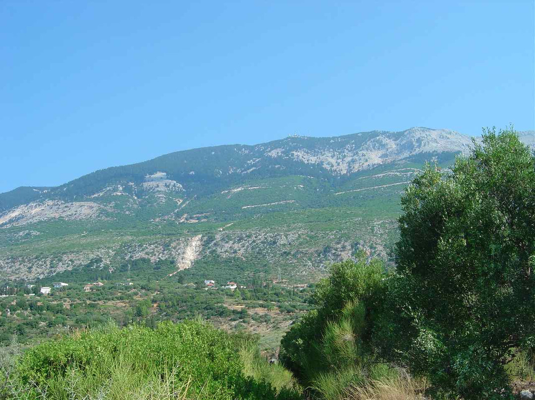 Thalassino Trifilli主图