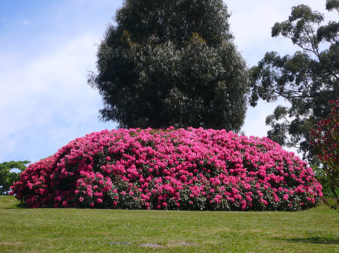 Dandenong Ranges Botanic Garden-奥林达必去景点