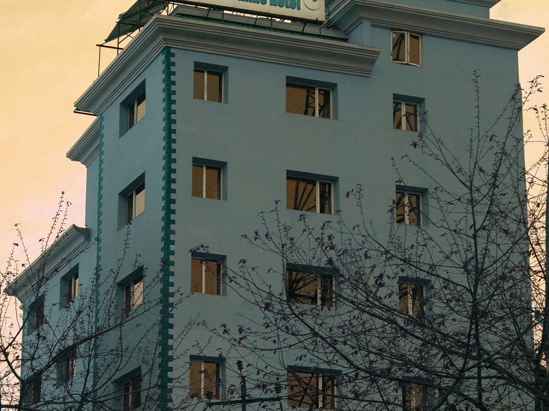 丽晶棕榈酒店主图