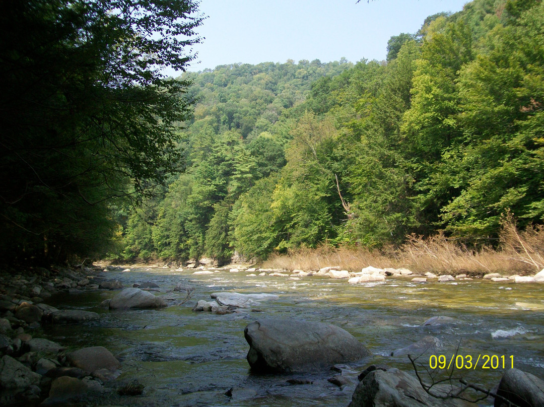 Worlds End State Park景点图片