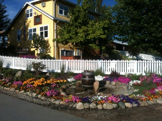 The Vibrant Vine-基洛纳必去景点