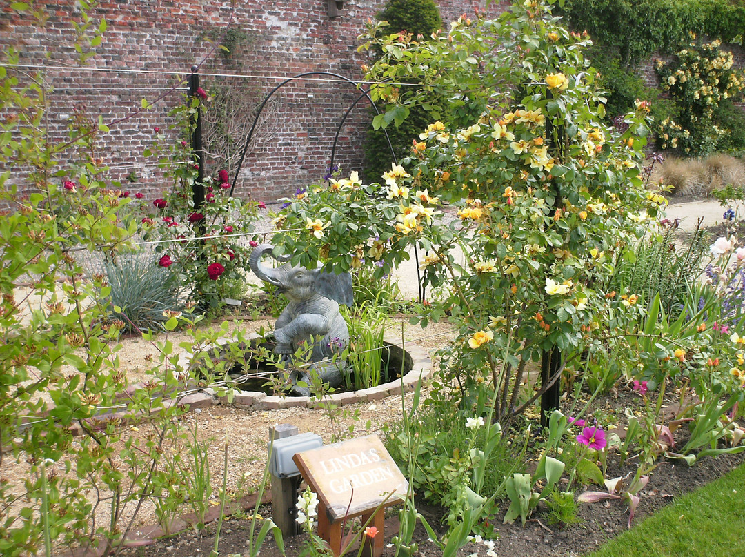 Helmsley Walled Garden景点图片