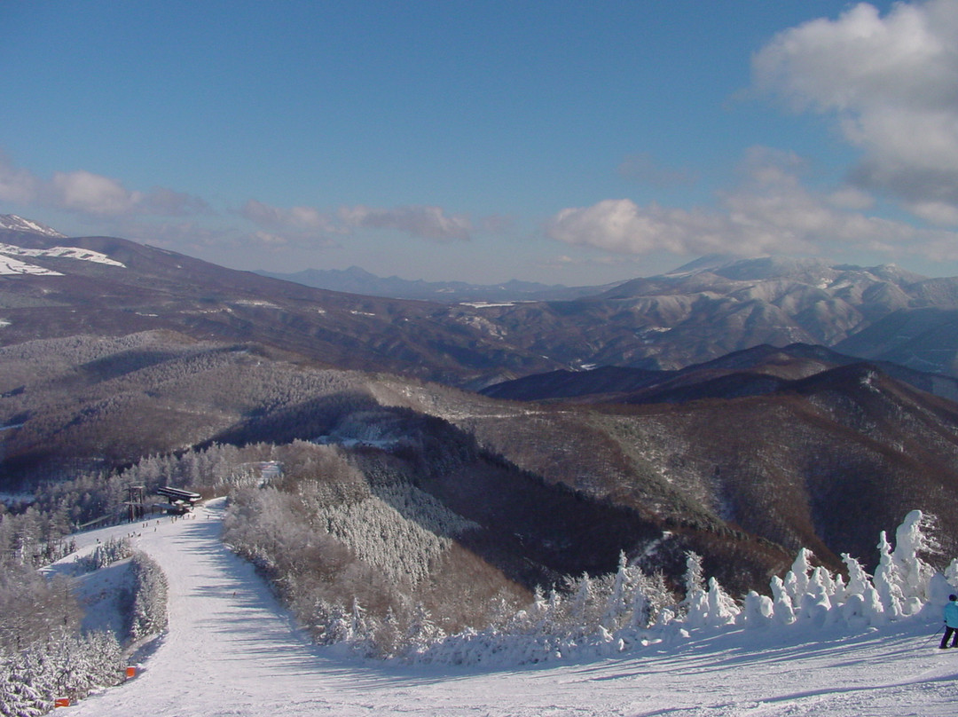 Sugadaira Kogen Ski Area-上田市必去景点