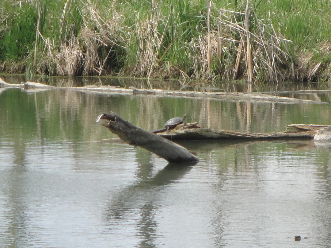 Heron Haven-奥马哈必去景点