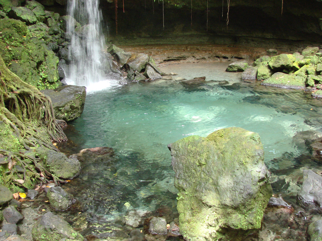 Emerald Pool-Morne Trois Pitons National Park必去景点