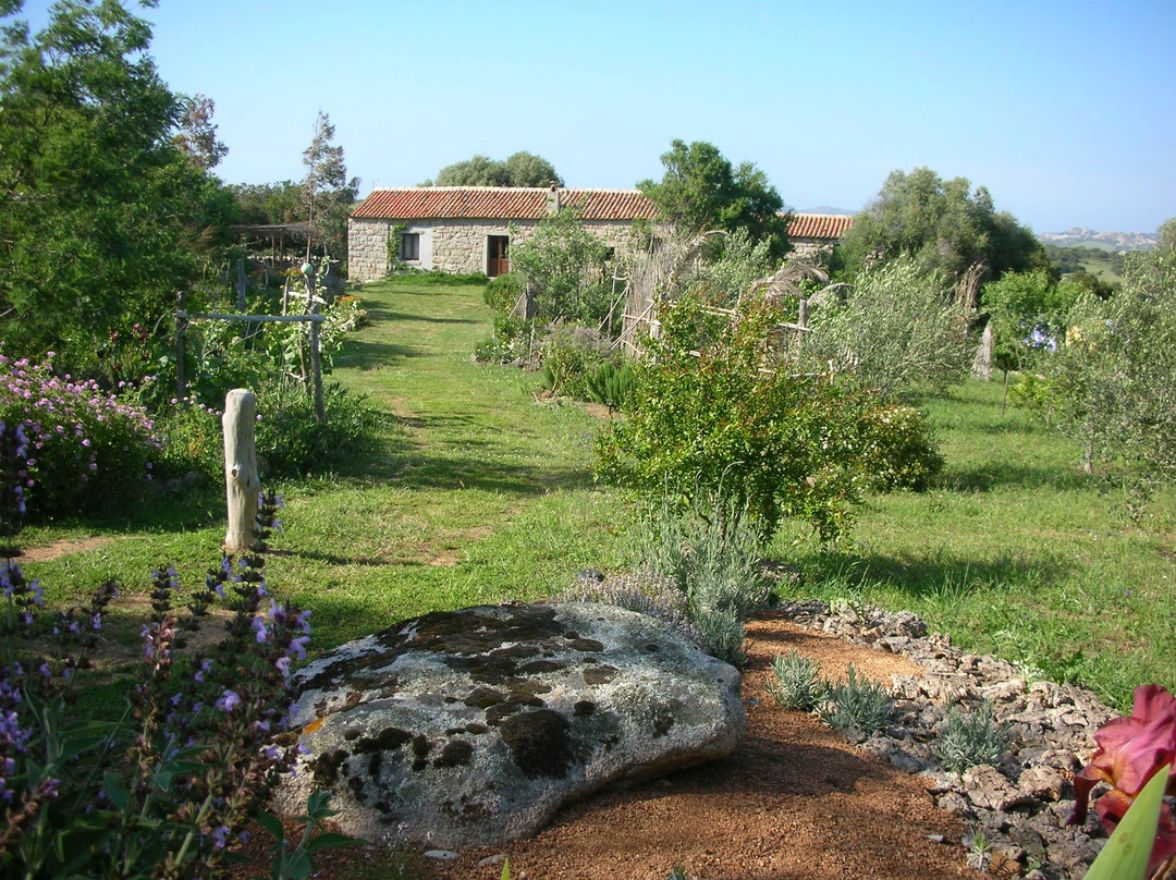 B&B Stazzo Chivoni主图