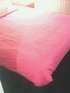 乌鲁木齐如家北园春店主图