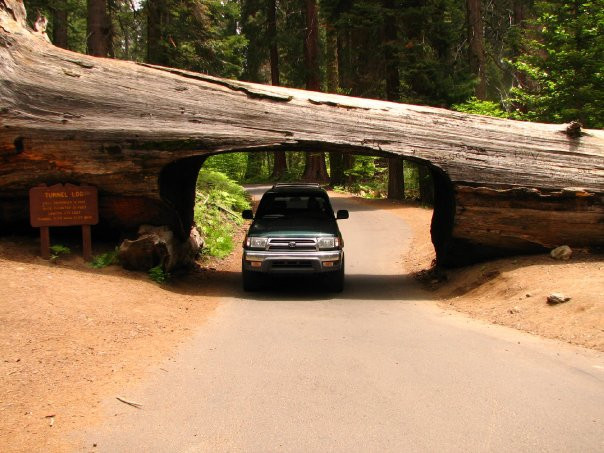 Crescent Meadow Loop-红杉&国王峡谷国家公园必去景点