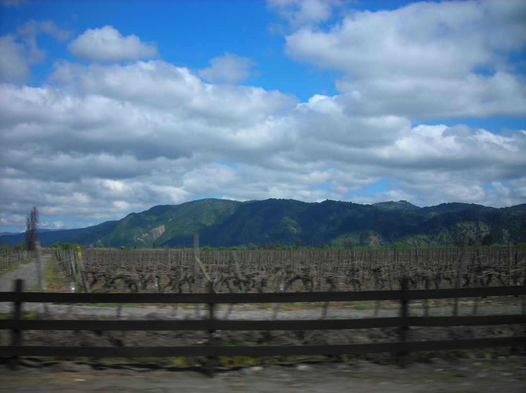 Curicó Valley Wine Route