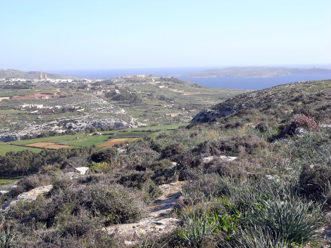 Ta' Cenc Cliffs-Sannat必去景点
