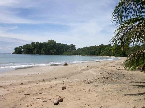 Playa Puerto Viejo景点图片