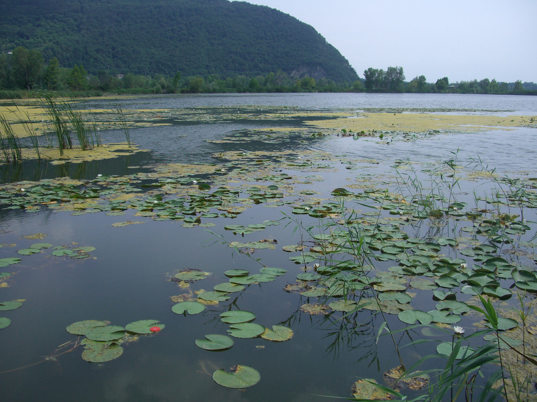 Torbiere del Sebino景点图片
