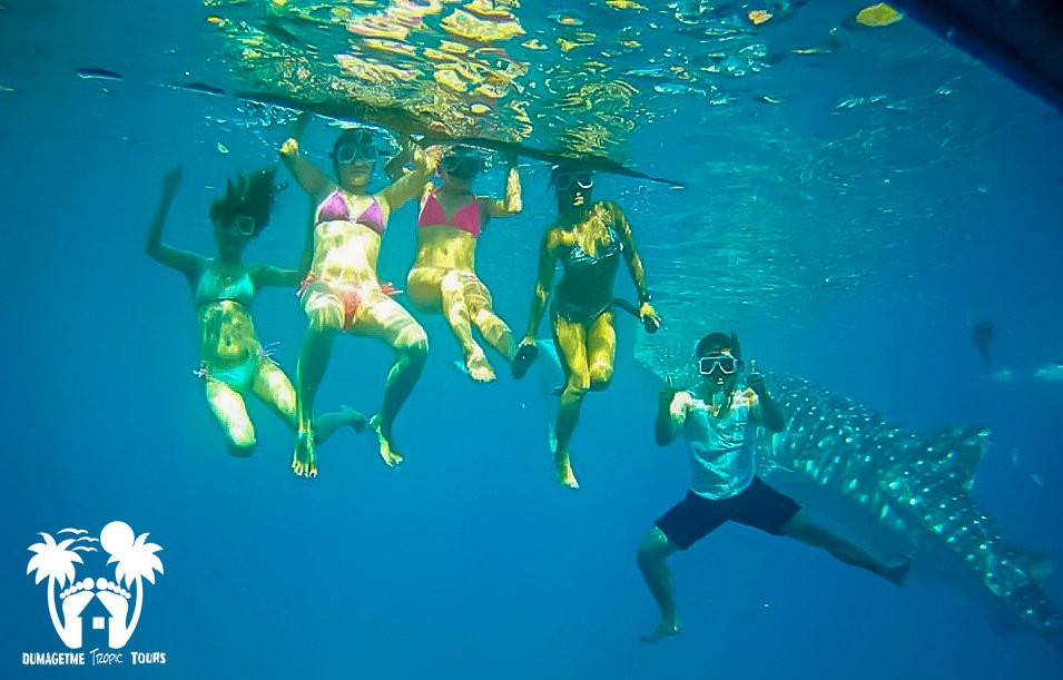 DumaGetMe Tropic Tours-杜马盖地必去景点