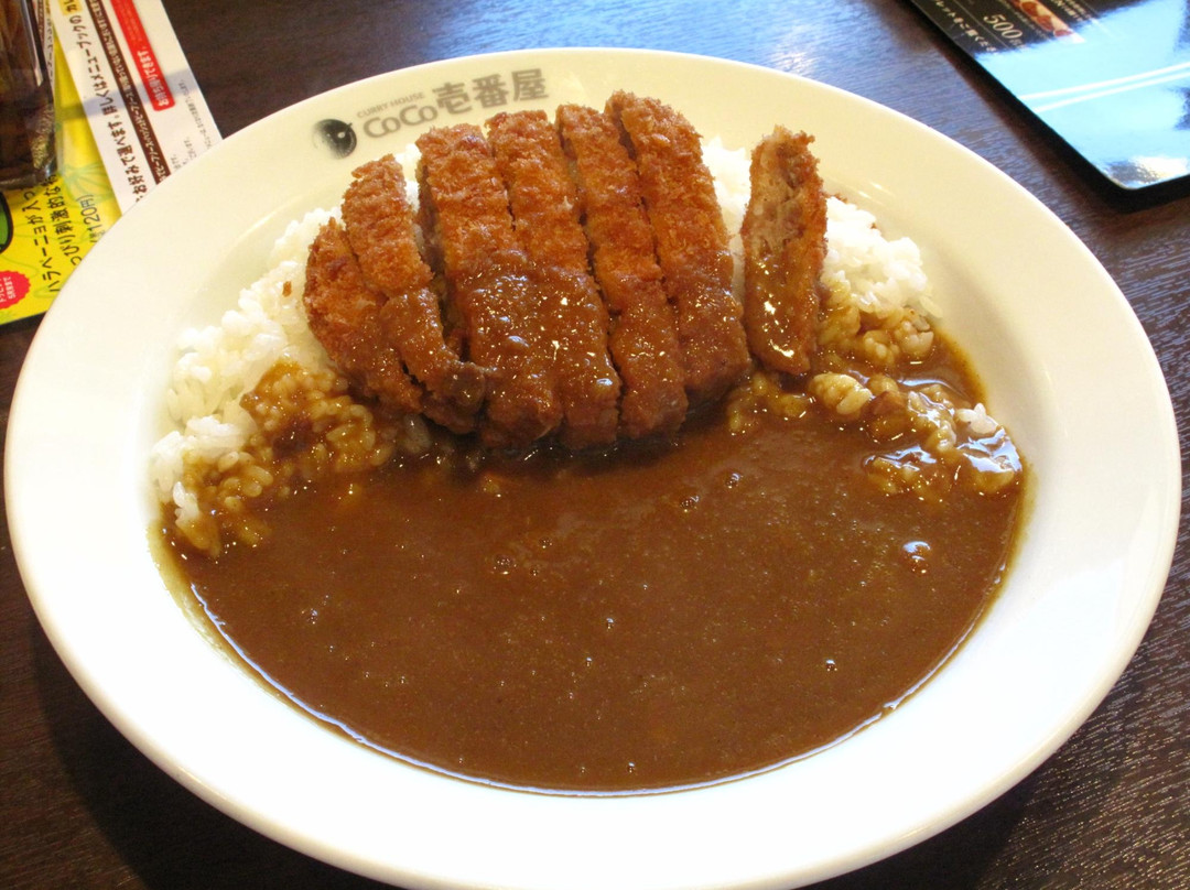 CoCo壱番屋 香南野市店