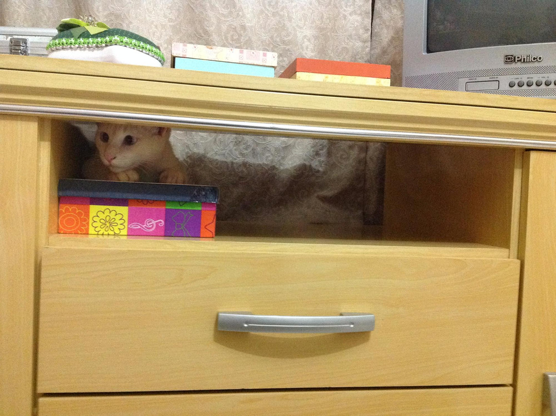 Hotel E Restaurante San Diego