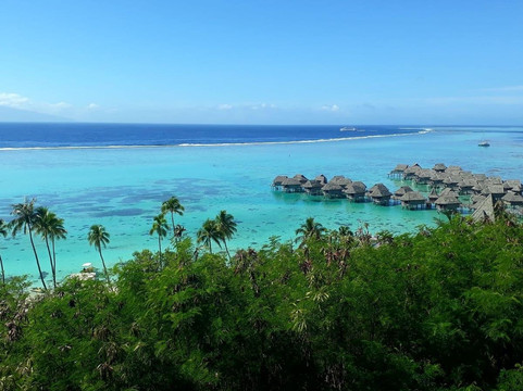 Un autre œil sur le monde