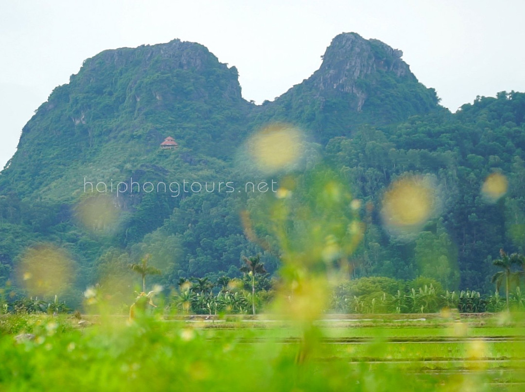 Elephant Mountain景点图片