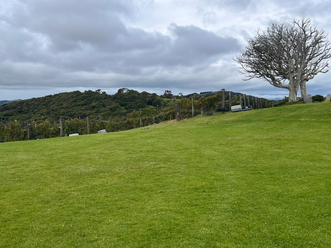 Waiheke Wine Tours Ltd景点图片