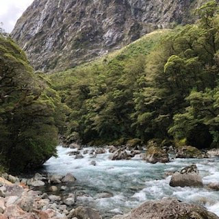 Tutoko Suspension Bridge景点图片