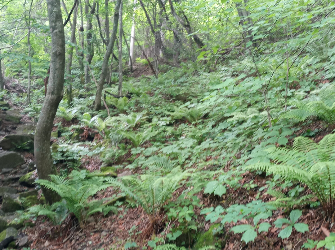 Hwaak Mountain