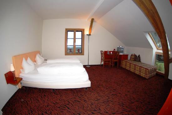 Gasthof - Hotel Zur Schonen Aussicht-官方