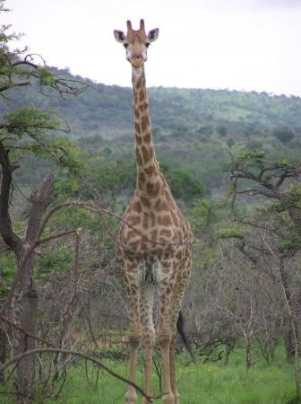 夫赫德旅游攻略图片