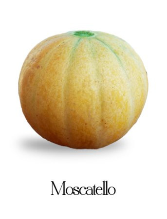 Azienda Agricola Longhi Dino e Andrea景点图片