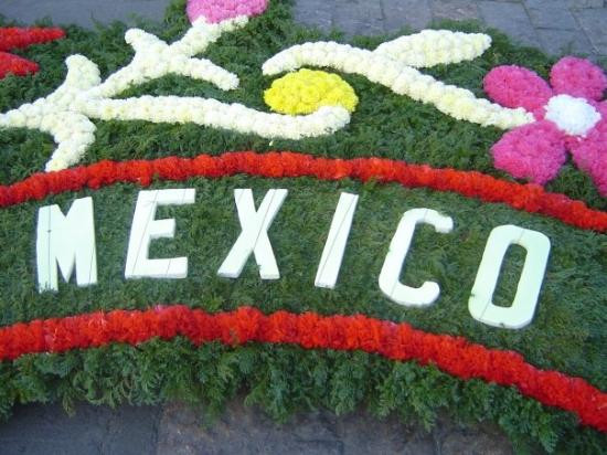 瓜达卢普圣玛利亚大教堂-墨西哥城必去景点