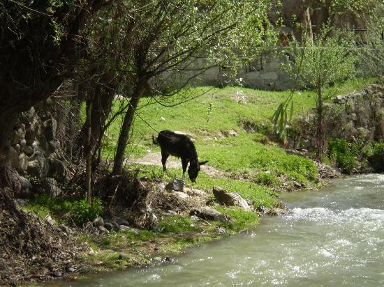 Ihlara Valley-Güzelyurt必去景点