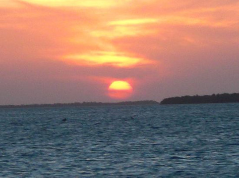 Key West Eco Tours-基韦斯特必去景点